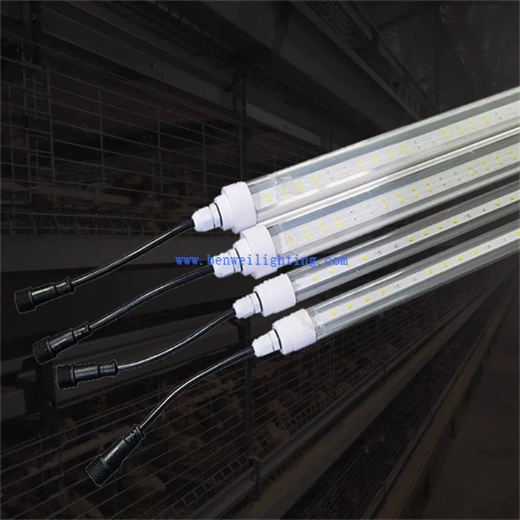 Poultry T8 Tube Light (2)