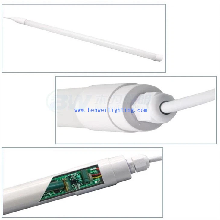 Poultry T8 Tube Light (5)