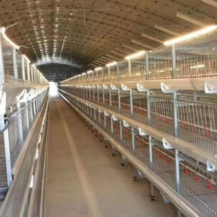 High Lumen Led Poultry Light High Lumen Led Poultry Light