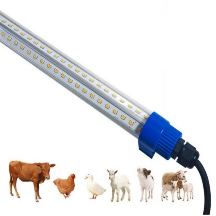 product-750-750