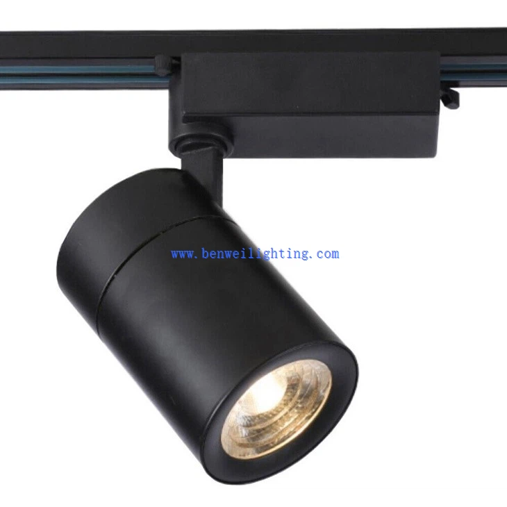 Rotatable Track Light (1)