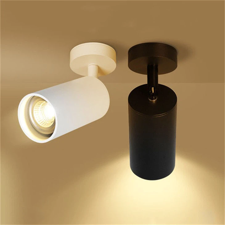 Rotatable Track Light