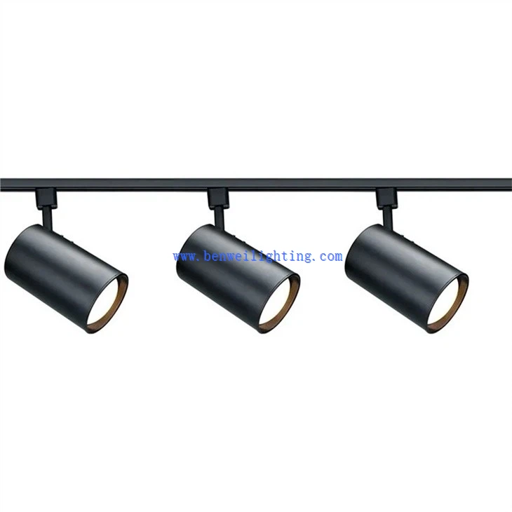 Rotatable Track Light (4)