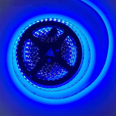 Dải đèn LED Dreamcolor