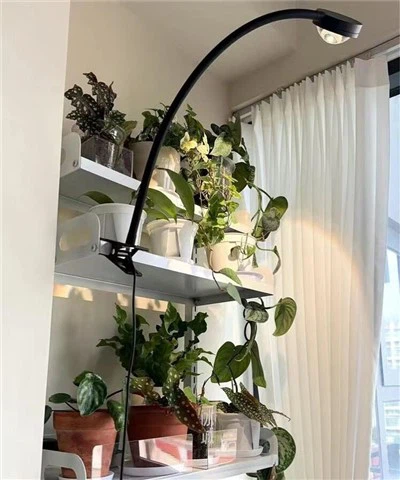 Đèn sân vườn -70 độ