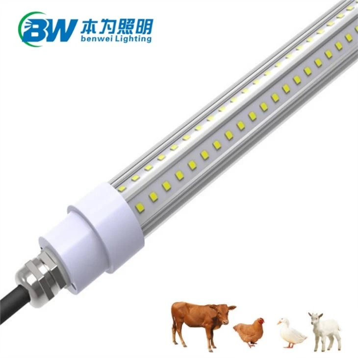 T8 LED Poultry Light IP67 Waterproof